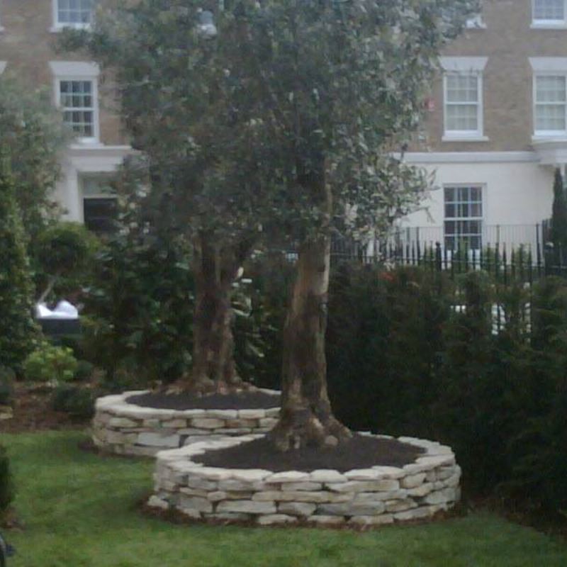 Landscaping in Launceston